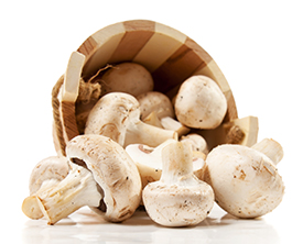 Champignons