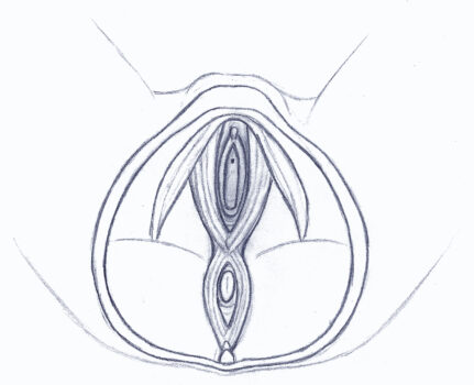 4.1.2