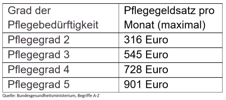 Pflegegeld: Anerkennung für die, die nicht bezahlt werden – Der-Querschnitt.de