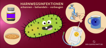 Harnwegsinfektionen bei Querschnittlähmung: erkennen – behandeln – vorbeugen