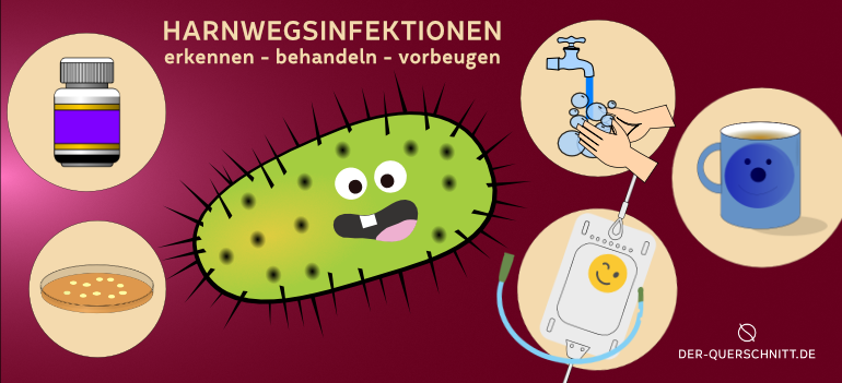 Harnwegsinfektionen bei Querschnittlähmung: erkennen – behandeln – vorbeugen