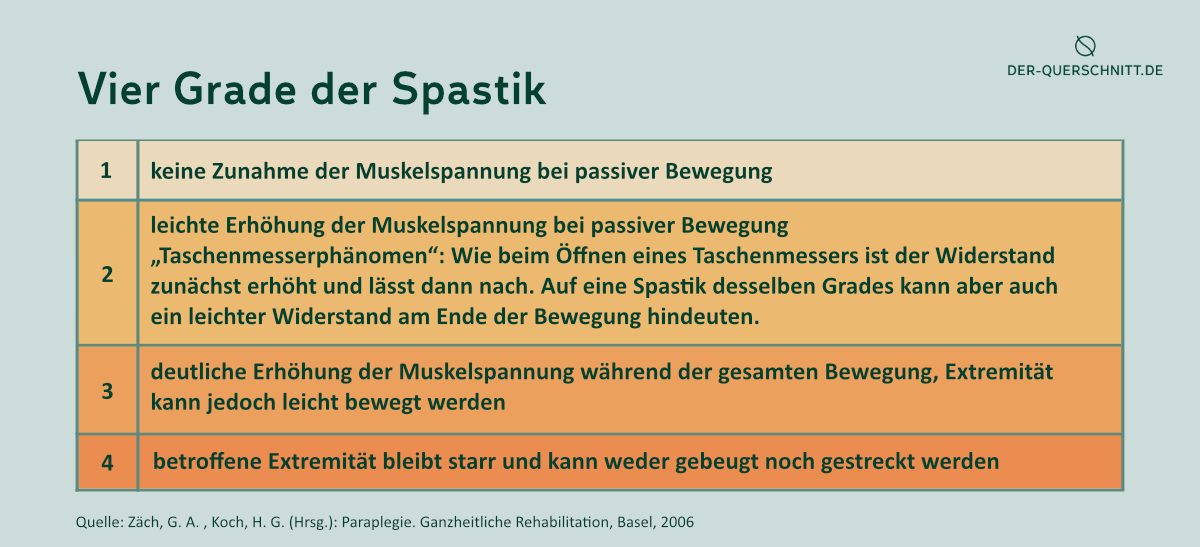 Grafik Ashworth-Skala nach Koch und Zaech_2023_von Ursula Willimsky ...