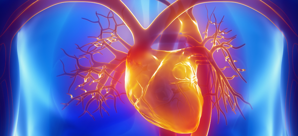 Herz-Kreislauf-Erkrankungen bei Menschen mit Rückenmarkverletzung: Risiken individuell betrachten