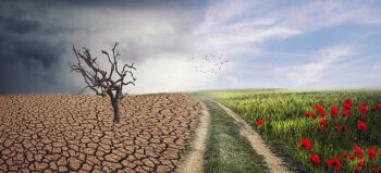 Kaum Forschung zum Thema Behinderung und Klimawandel