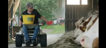 Landwirt auf E-Rollstuhl mit extrabreiten Reifen beim Füttern von Kühen im Stall. Auf dem Schoß hat er eine gelben Eimer.