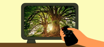 Virtuelle Naturvideos helfen gegen körperliche Schmerzen 
