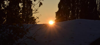 Vitamin-D-Mangel bei Querschnittlähmung