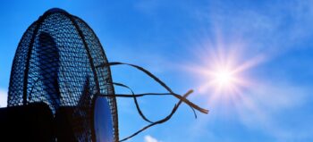 Hitzeaktionstag: Krisenresilienz bei Extremhitze stärken
